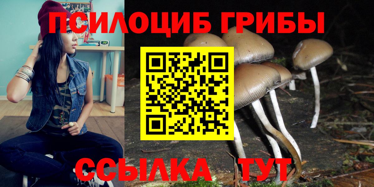 Героин Качканар
