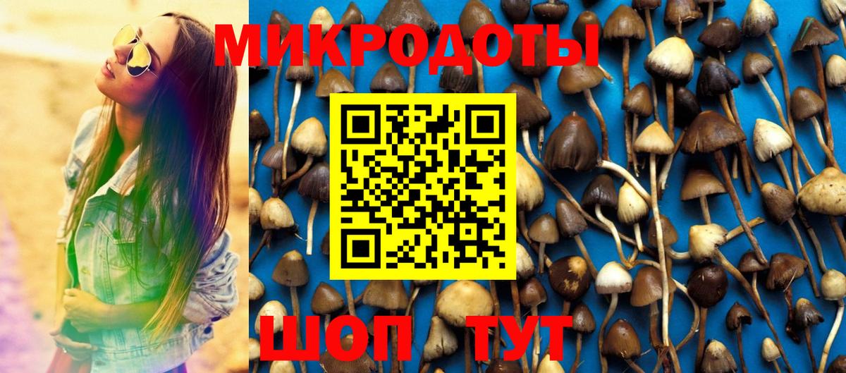 Галлюциногенные грибы прущие грибы Качканар